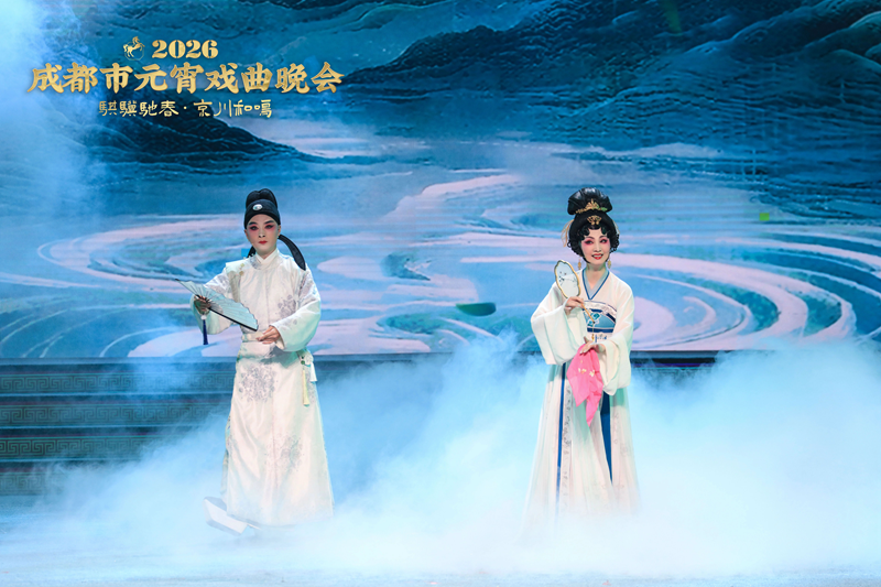 1772590205787090.png 15.png